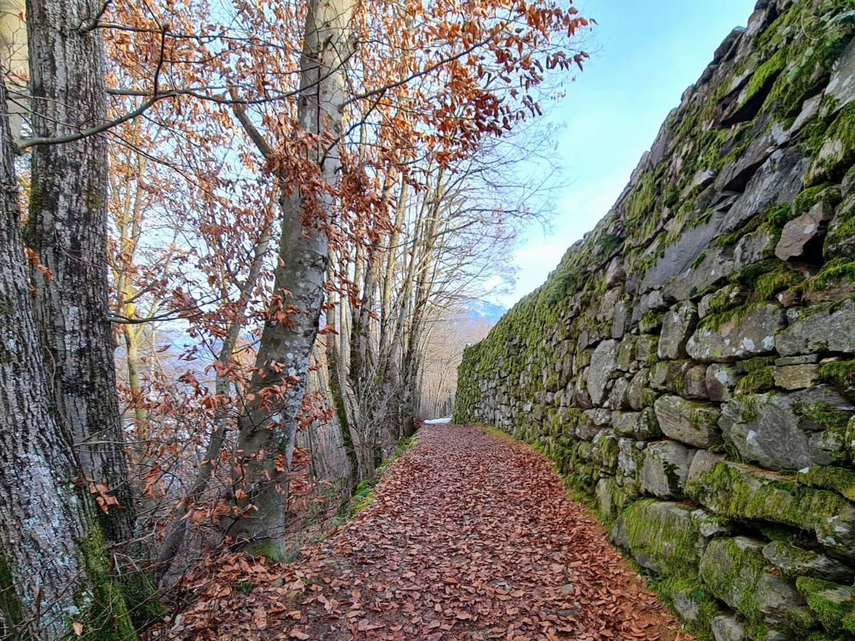 Appartamento Coccole nel fienile Levico Terme Esterno foto